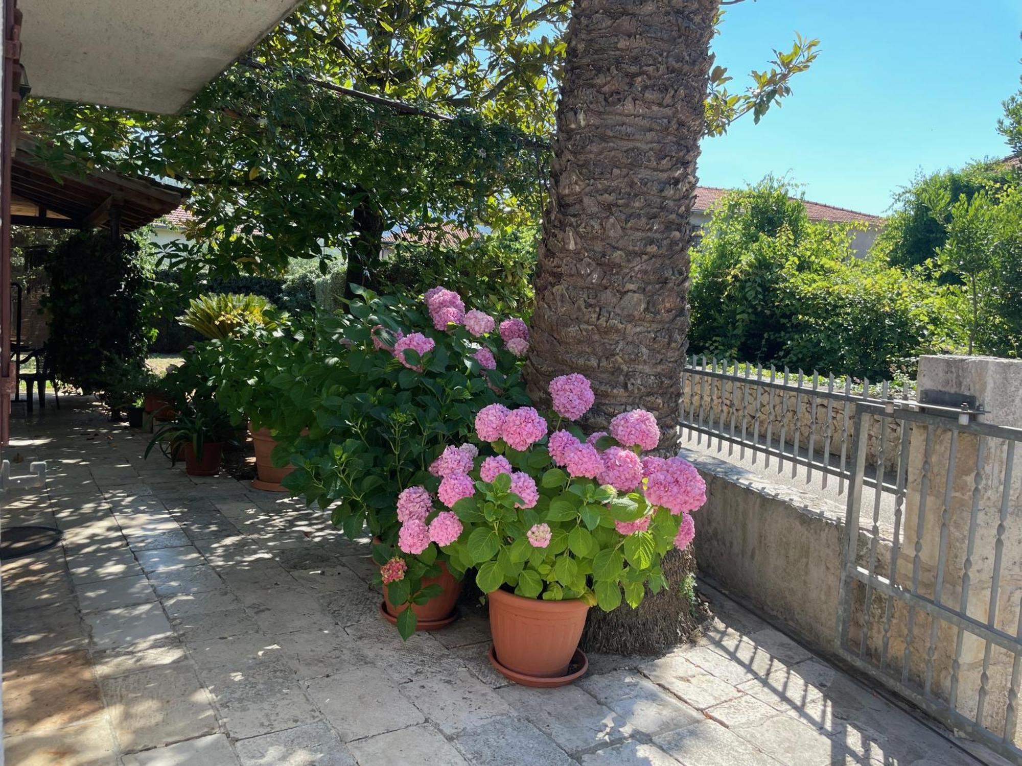 Hvar Guesthouse - Double Bedroom With Private Bathroom Jelsa  Luaran gambar